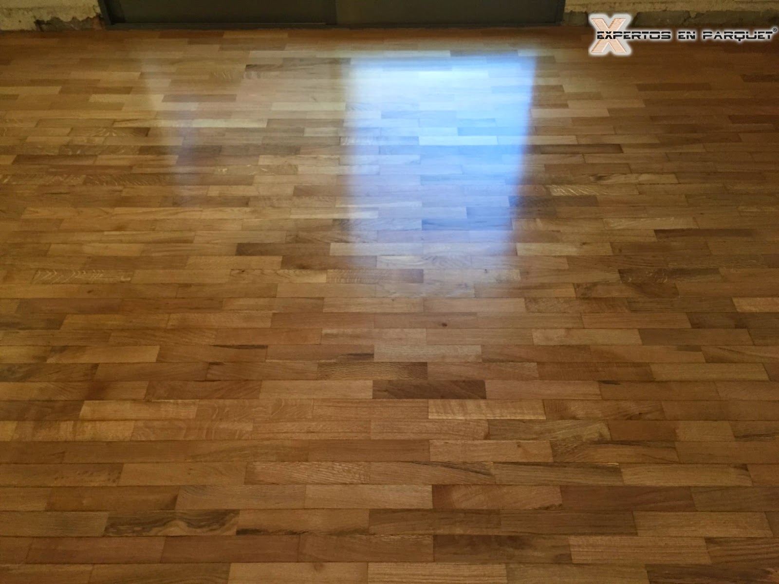Diseños con suelos de parquet